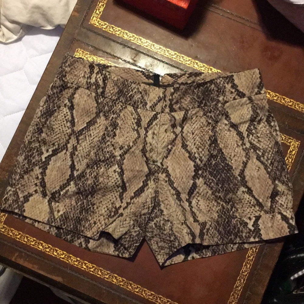 BCBG snake print shorts w/ pockets!